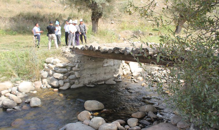 RESTORATION OF PEDESTRIAN BRIDGE, JALALABAD REGION